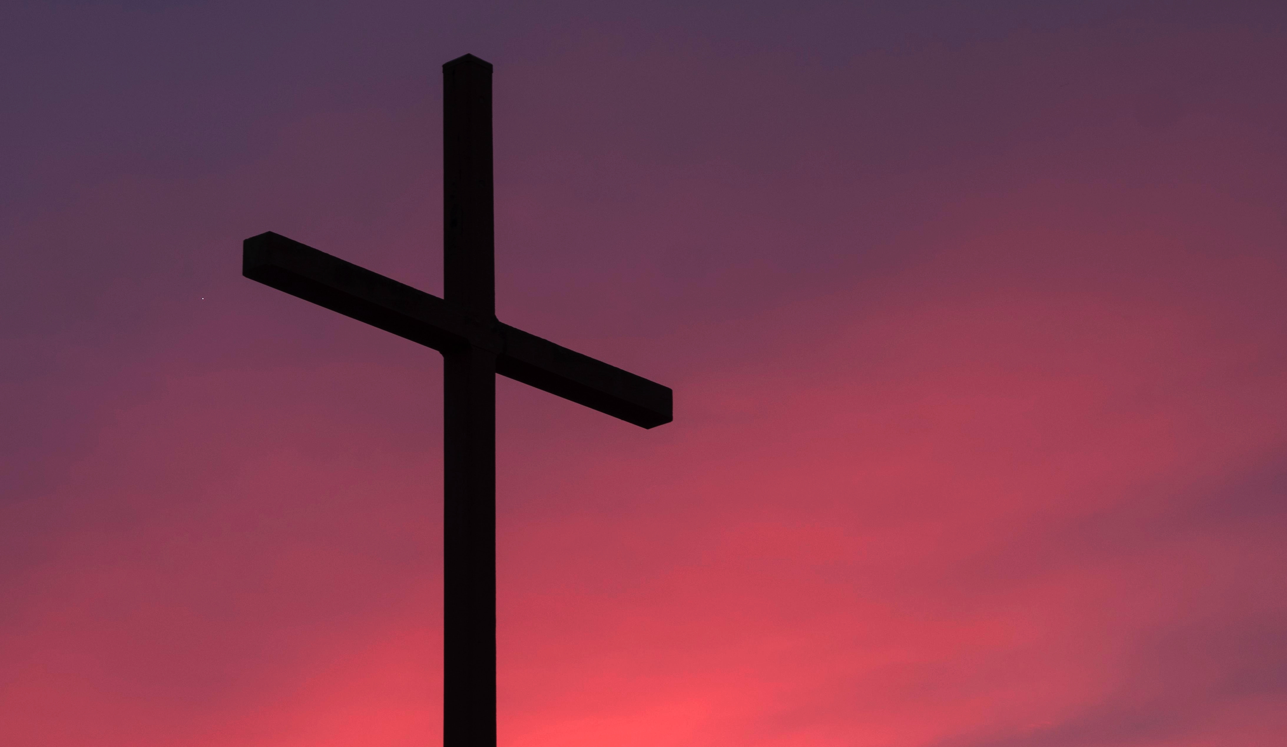 aaron-burden-5c5VcFshOds-unsplash-crop